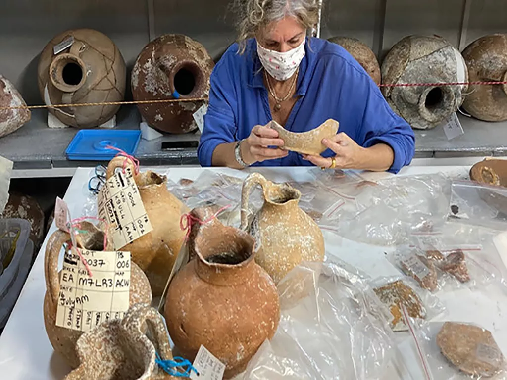 Pabuç Burnu Shipwreck (6th c. BC): Laced Hull & Archaic Greek Shipbuilding - Studying the finds from the wreck